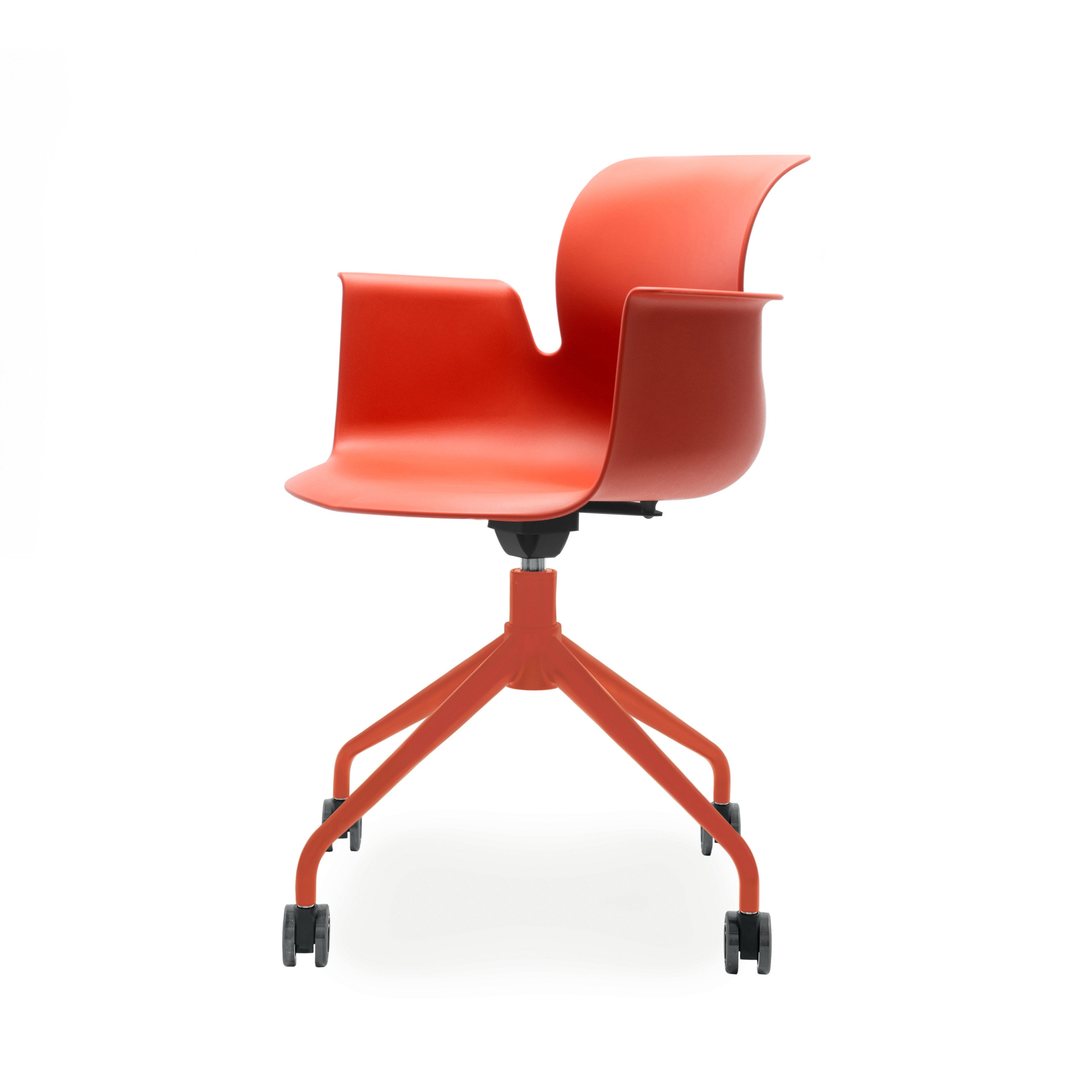 #barva_korálově červená